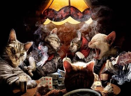 poker et animaux